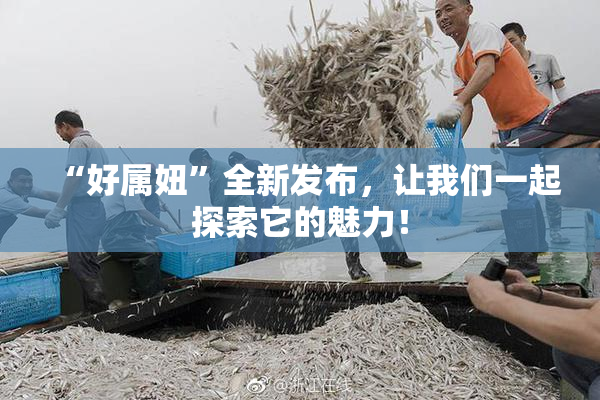 “好属妞”全新发布，让我们一起探索它的魅力！