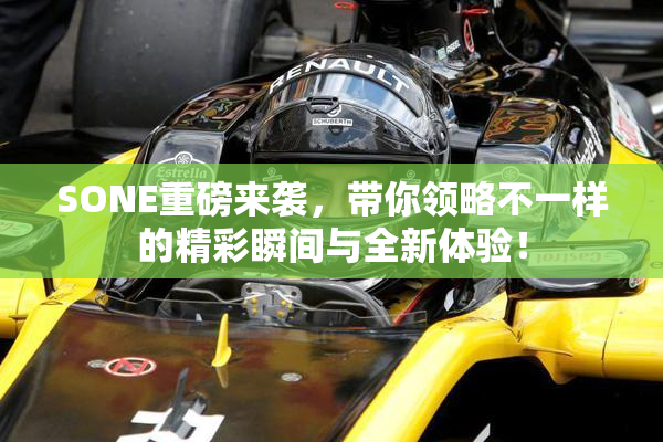 SONE重磅来袭，带你领略不一样的精彩瞬间与全新体验！