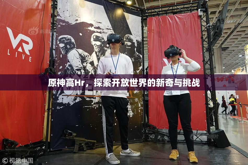 原神高Hr，探索开放世界的新奇与挑战