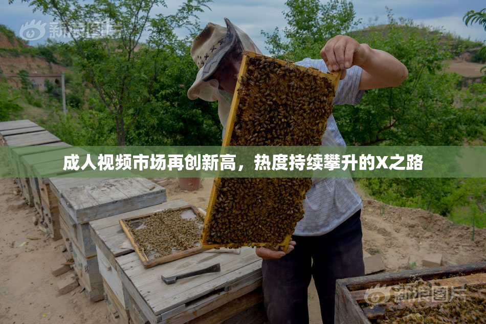 成人视频市场再创新高，热度持续攀升的X之路
