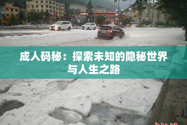 成人码秘：探索未知的隐秘世界与人生之路