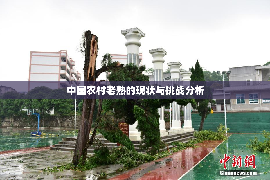 中国农村老熟的现状与挑战分析