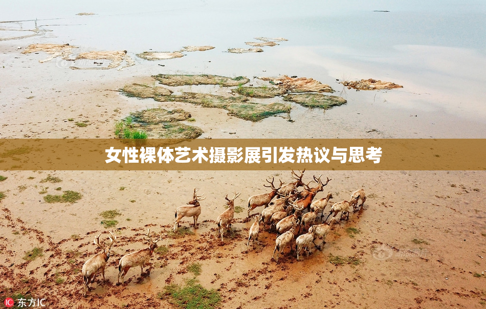 女性裸体艺术摄影展引发热议与思考