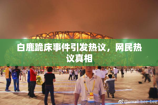 白鹿跪床事件引发热议，网民热议真相