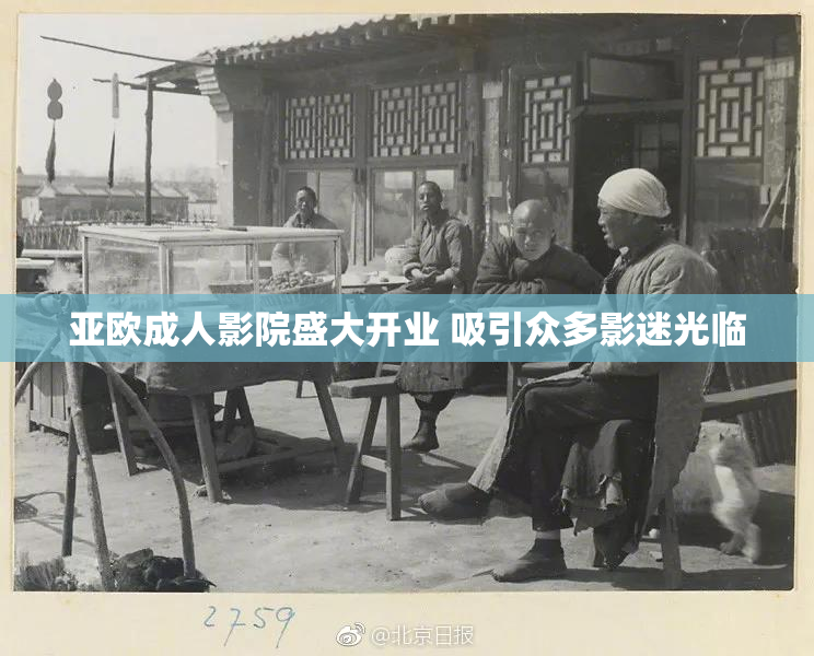 亚欧成人影院盛大开业 吸引众多影迷光临