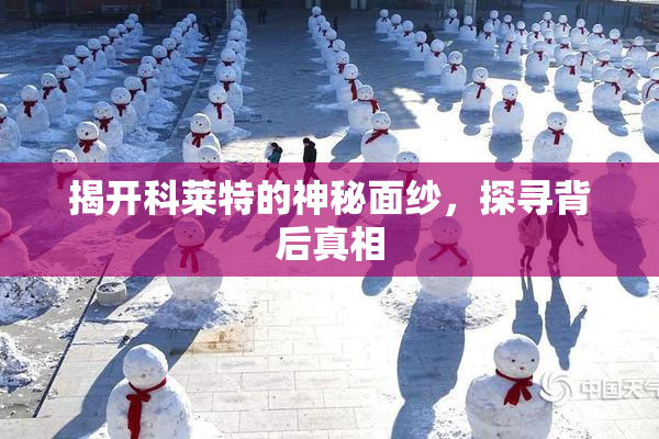 揭开科莱特的神秘面纱，探寻背后真相