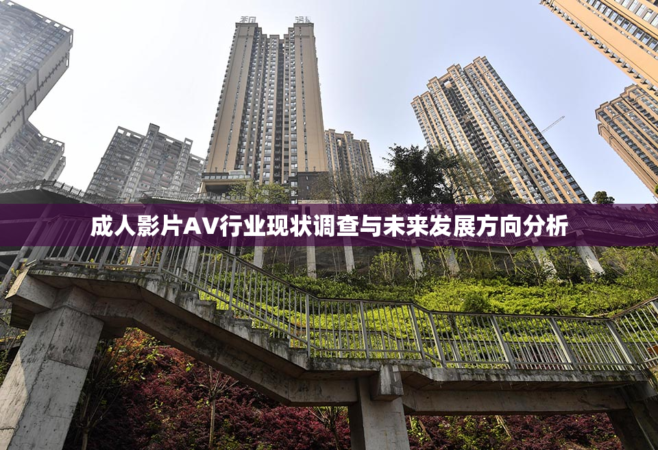 成人影片AV行业现状调查与未来发展方向分析