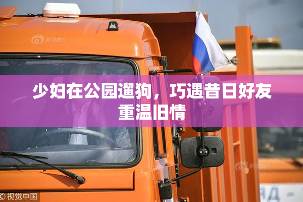 少妇在公园遛狗，巧遇昔日好友重温旧情