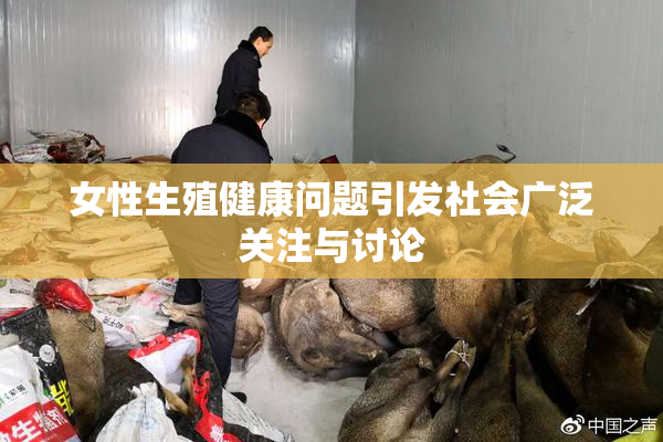 女性生殖健康问题引发社会广泛关注与讨论