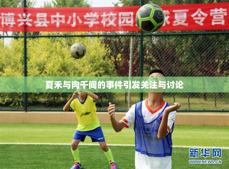 夏禾与肉干间的事件引发关注与讨论