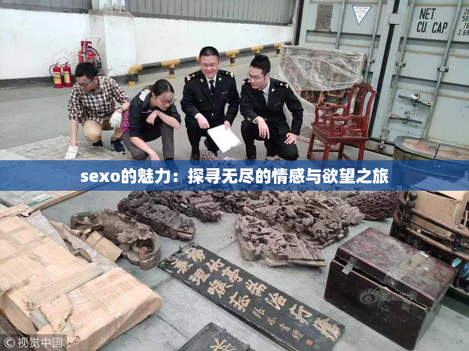 sexo的魅力：探寻无尽的情感与欲望之旅