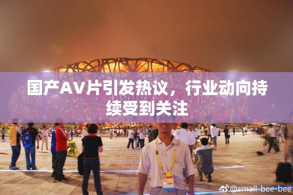 国产AV片引发热议，行业动向持续受到关注