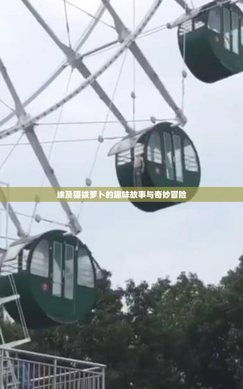 埃及猫拔萝卜的趣味故事与奇妙冒险
