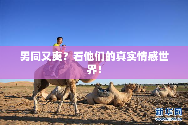 男同又爽？看他们的真实情感世界！