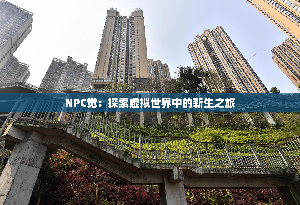 NPC觉：探索虚拟世界中的新生之旅