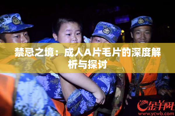 禁忌之境：成人A片毛片的深度解析与探讨