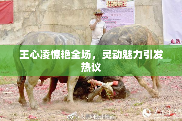 王心凌惊艳全场，灵动魅力引发热议