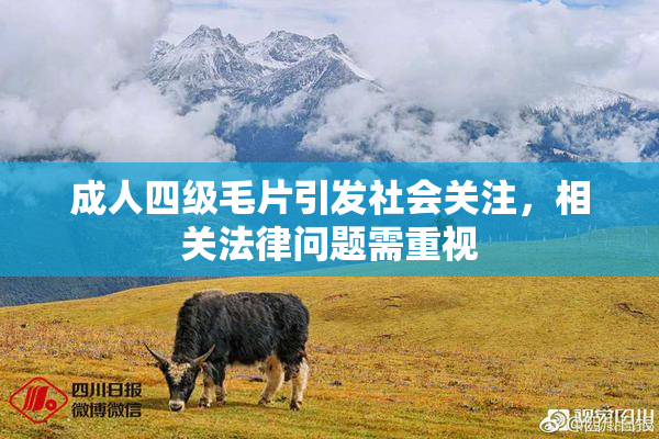 成人四级毛片引发社会关注，相关法律问题需重视