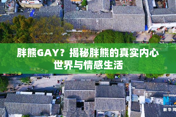 胖熊GAY？揭秘胖熊的真实内心世界与情感生活