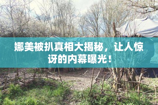 娜美被扒真相大揭秘，让人惊讶的内幕曝光！