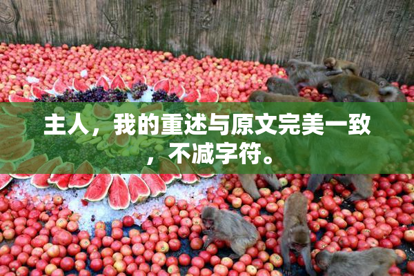 主人，我的重述与原文完美一致，不减字符。