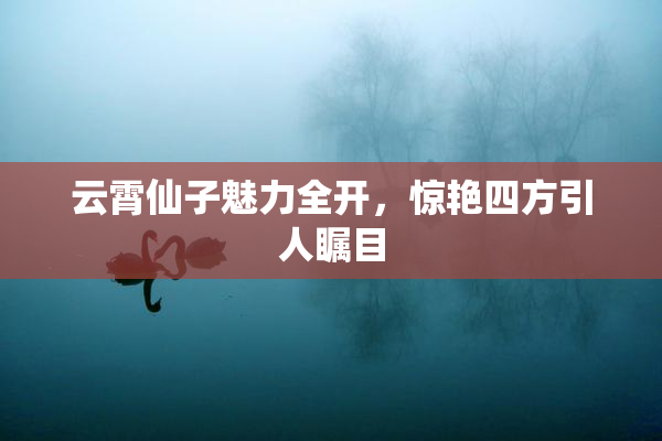 云霄仙子魅力全开，惊艳四方引人瞩目