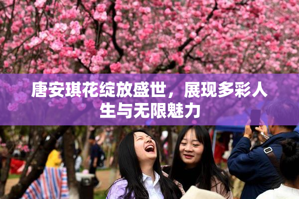 唐安琪花绽放盛世，展现多彩人生与无限魅力