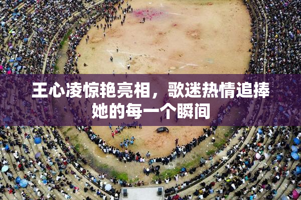 王心凌惊艳亮相，歌迷热情追捧她的每一个瞬间