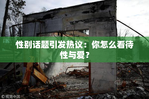 性别话题引发热议：你怎么看待性与爱？