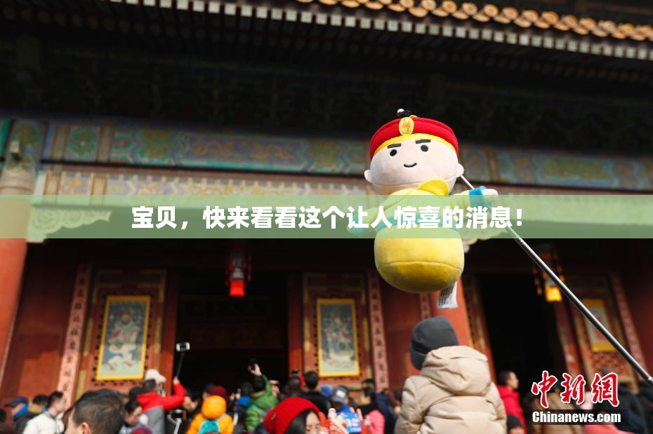 宝贝，快来看看这个让人惊喜的消息！