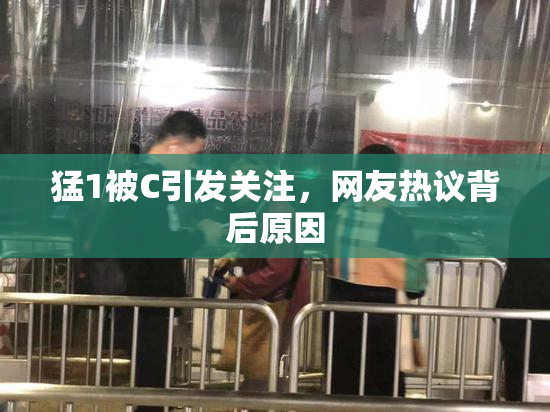 猛1被C引发关注，网友热议背后原因