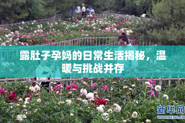 露肚子孕妈的日常生活揭秘，温暖与挑战并存