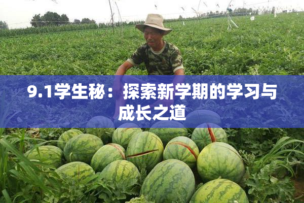 9.1学生秘：探索新学期的学习与成长之道