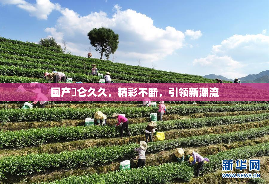 国产婬仑久久，精彩不断，引领新潮流