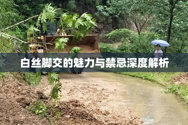 白丝脚交的魅力与禁忌深度解析