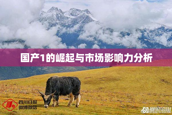 国产1的崛起与市场影响力分析