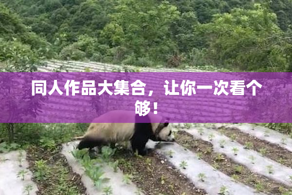 同人作品大集合，让你一次看个够！