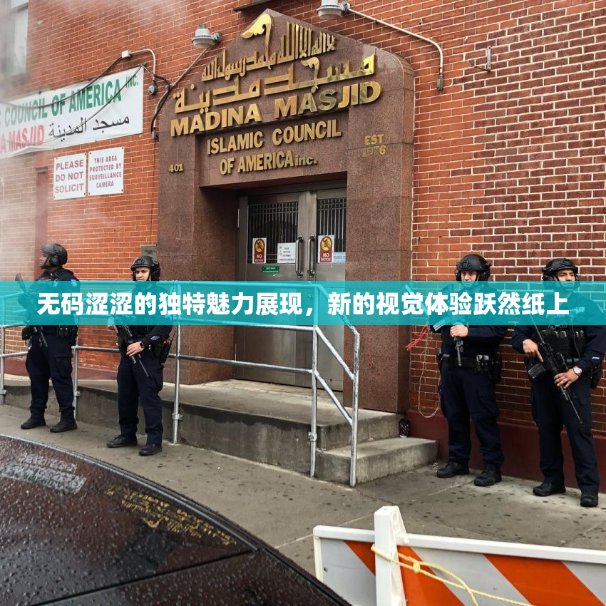 无码涩涩的独特魅力展现，新的视觉体验跃然纸上