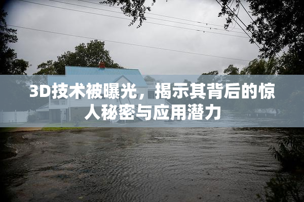 3D技术被曝光，揭示其背后的惊人秘密与应用潜力