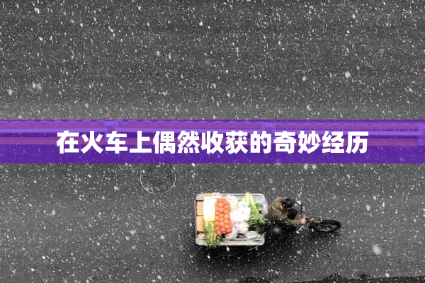 在火车上偶然收获的奇妙经历