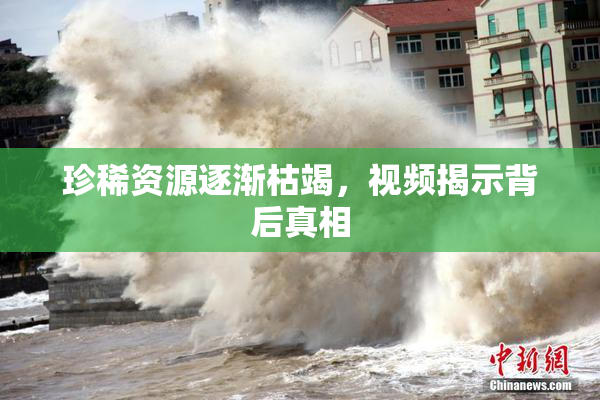 珍稀资源逐渐枯竭，视频揭示背后真相