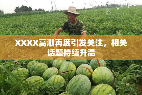 XXXX高潮再度引发关注，相关话题持续升温
