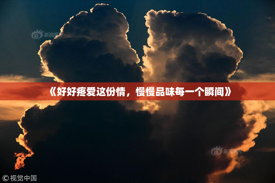 《好好疼爱这份情，慢慢品味每一个瞬间》