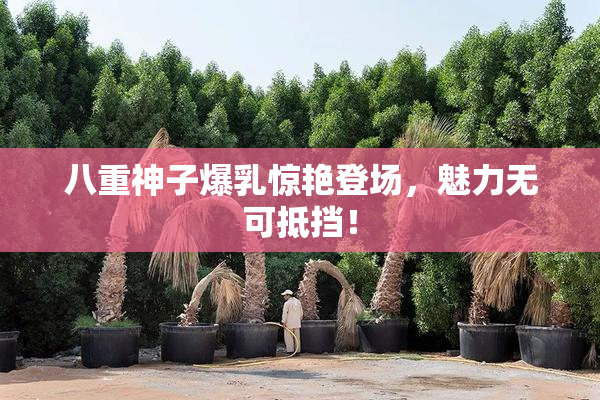 八重神子爆乳惊艳登场，魅力无可抵挡！