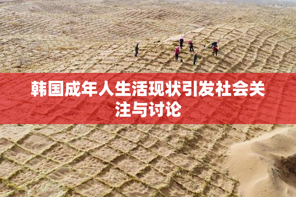 韩国成年人生活现状引发社会关注与讨论