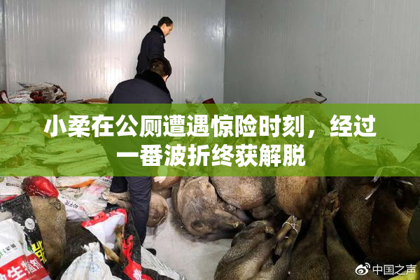 小柔在公厕遭遇惊险时刻，经过一番波折终获解脱