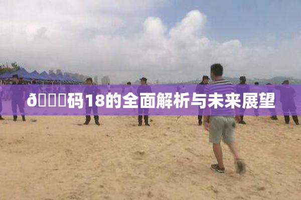 🈚码18的全面解析与未来展望