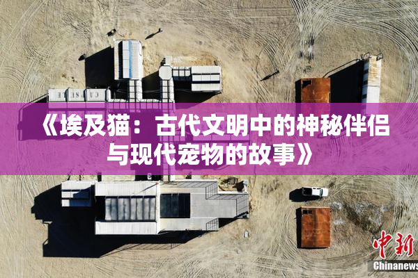 《埃及猫：古代文明中的神秘伴侣与现代宠物的故事》