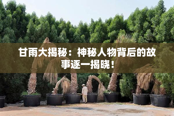 甘雨大揭秘：神秘人物背后的故事逐一揭晓！