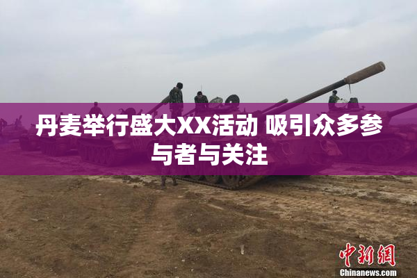 丹麦举行盛大XX活动 吸引众多参与者与关注